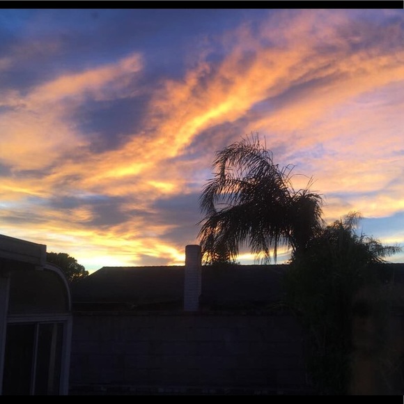 Meet your Posher, Daniela - Picture 1 of 1